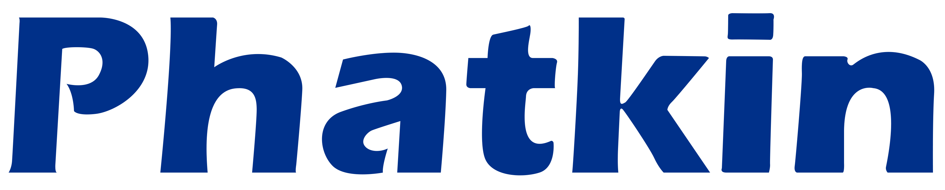 Phatkin Logo